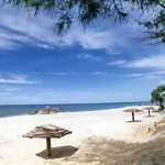 turtle bay beach resort