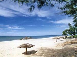 turtle bay beach resort