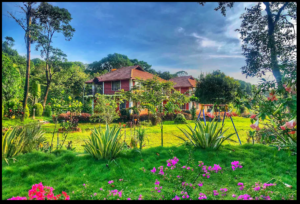 A Stream Side Hideaway in the Lush Greens of Sakleshpur