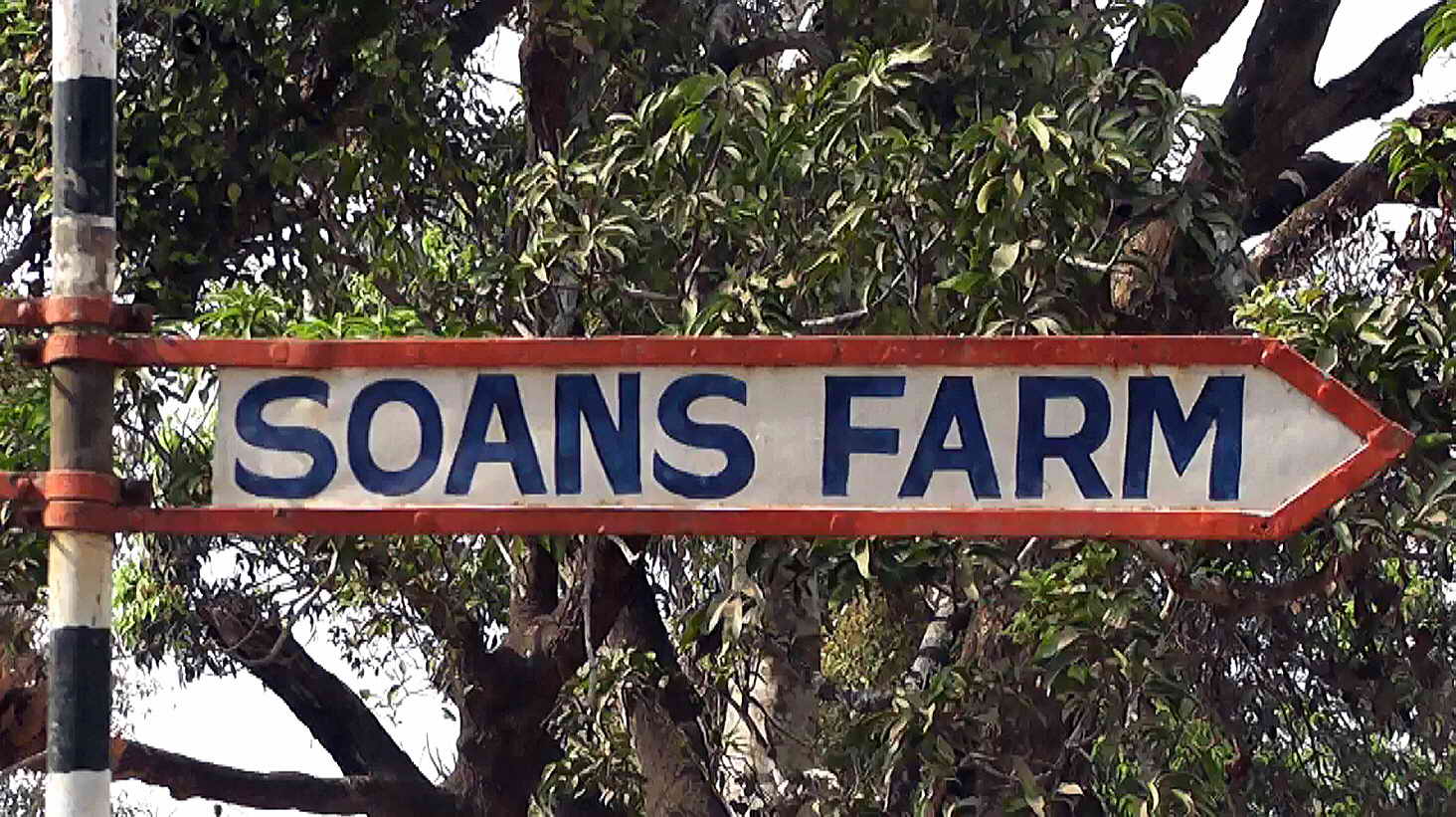 Soans Farm