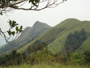 banjarumale