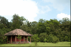 mangalore_to_agumbe_cabs