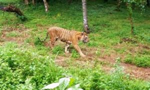 pilikula_nisargadhama